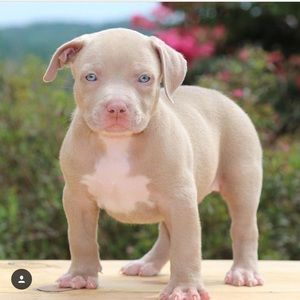 Meet your Posher, Liz